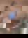 670354482