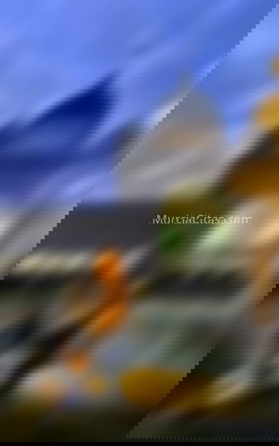 Rocio, mujer latina recién llegada. 665269106. Citas en MURCIA, MURCIA. www.murciacitas.com.